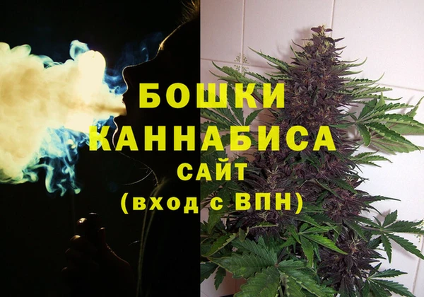 МДПВ Вязьма